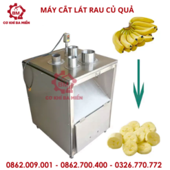 MÁY CẮT LÁT RAU CỦ QUẢ