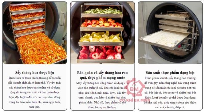 Máy sấy thăng hoa 2000kg (2 tấn)