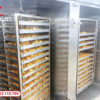 Tủ sấy 24 khay